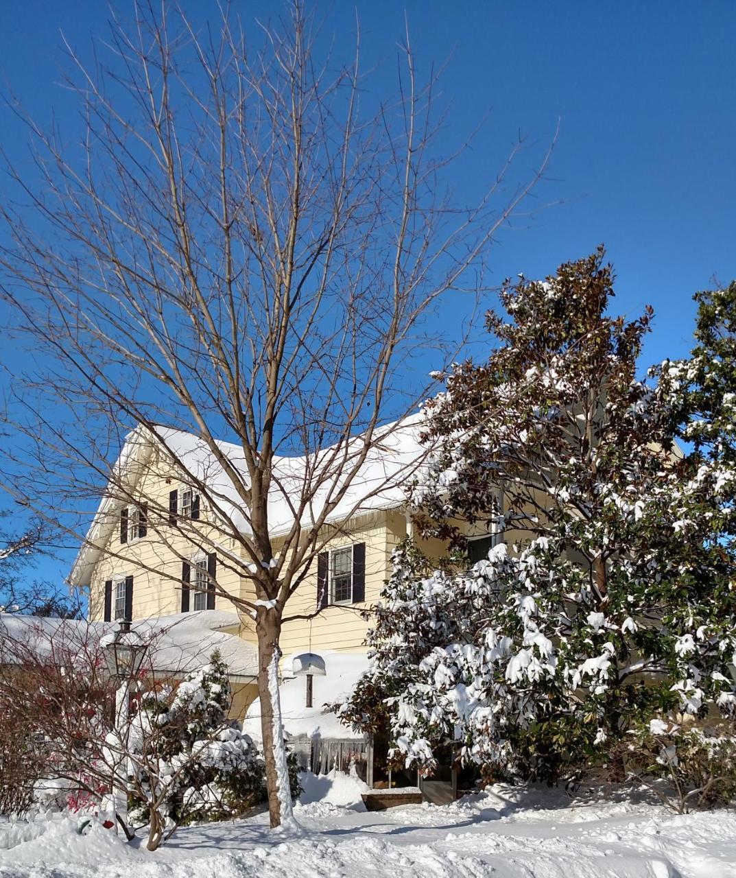 Apple Bin Inn Willow Street Bagian luar foto